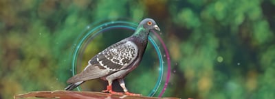 Er det ikke på tide at komme videre? Med telefoni uden integration går du glip af forretning