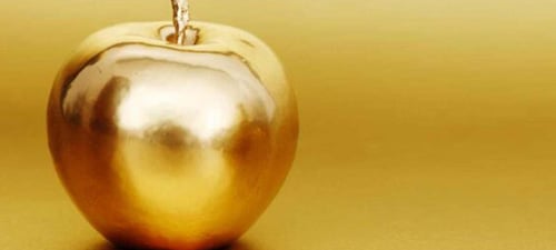 {slide.module_style.background.background_image.alt}