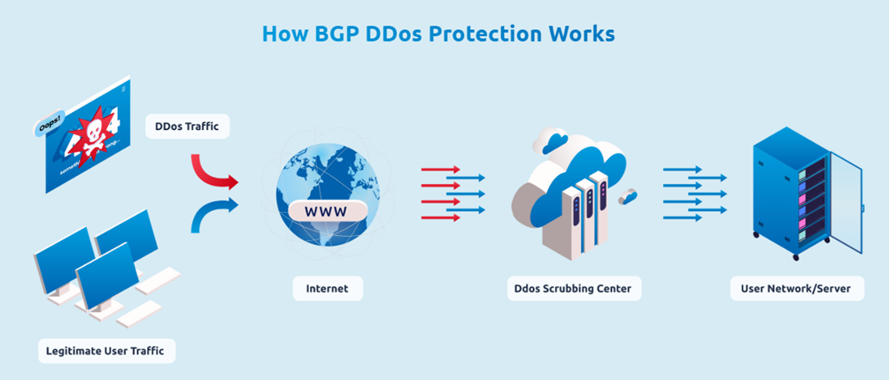 ddos_info