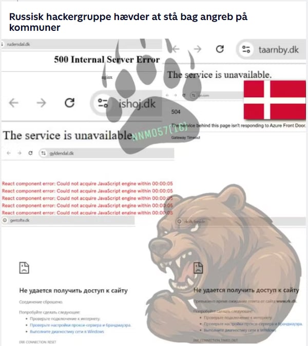 ddos_bjørn