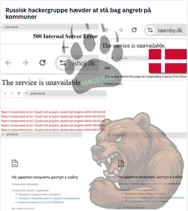 ddos_bjørn